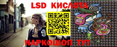 крисы Гатчина