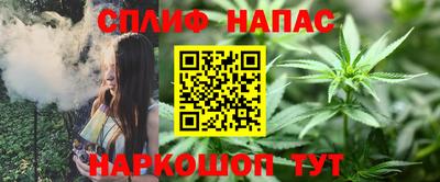 крисы Гатчина