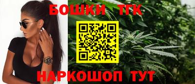 крисы Гатчина