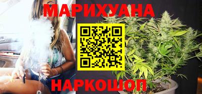 крисы Гатчина