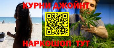 гашик Гай
