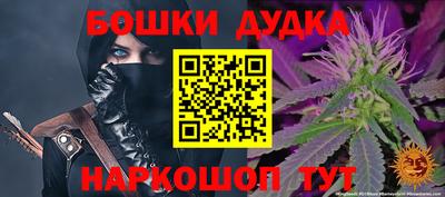 крисы Гатчина