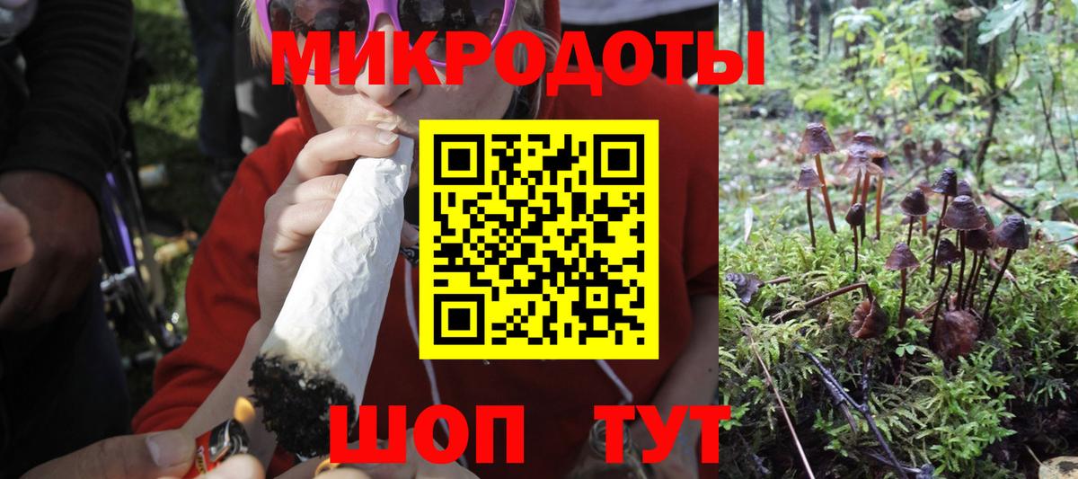 Галлюциногенные грибы Psilocybe Зеленогорск