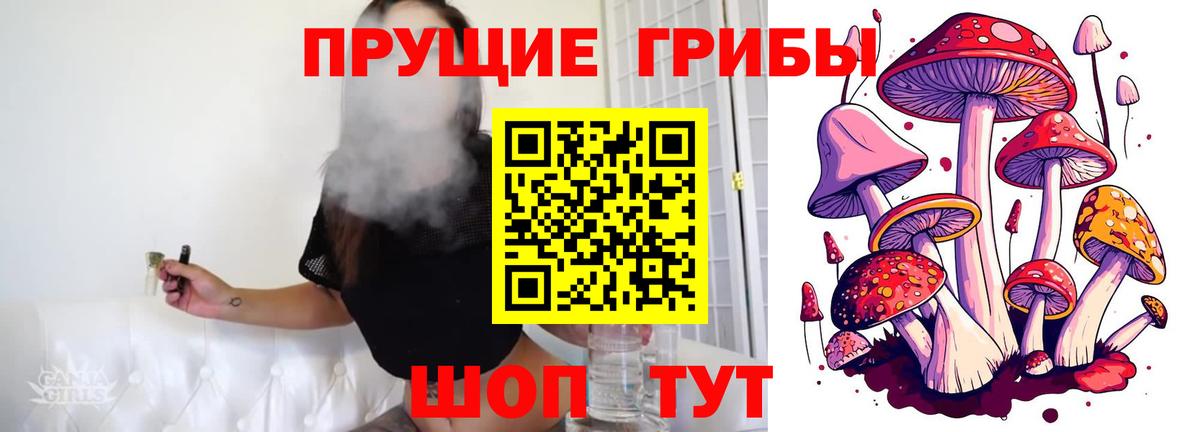 Зеленогорск  Псилоцибиновые грибы Magic Shrooms  Вход с VPN  Псилоцибиновые грибы GOLDEN TEACHER 